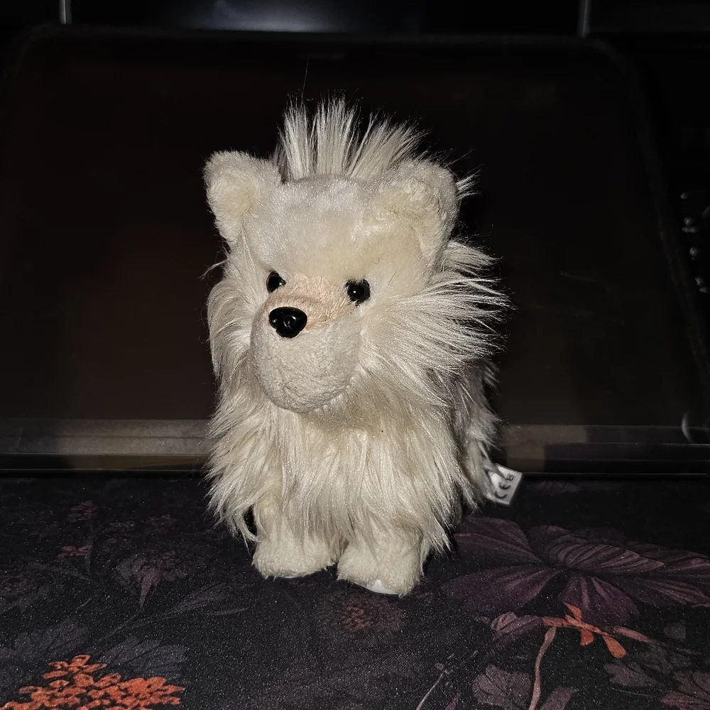 Coconut - Picture 3 of 8